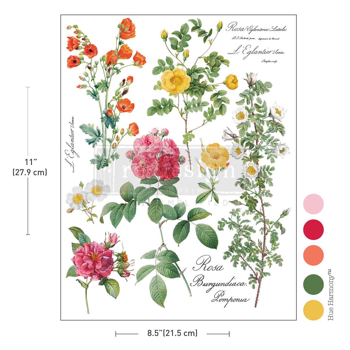 Poetry in Petals H2O transfer